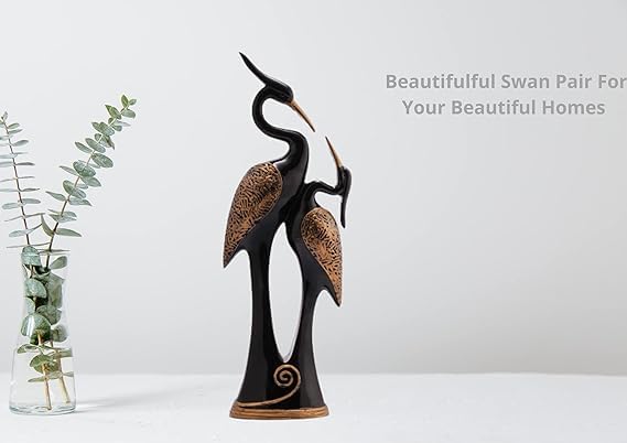 Kissing Duck Love Birds