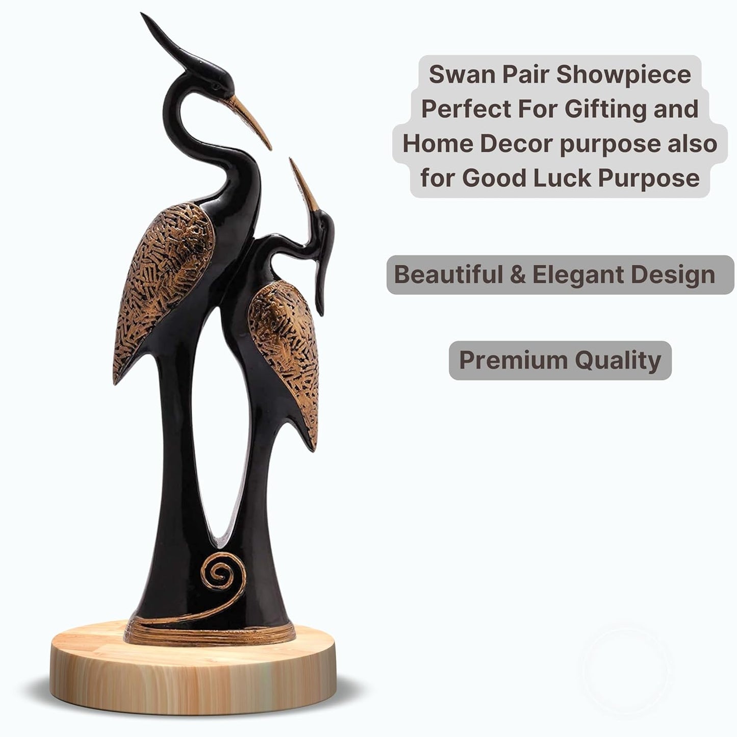 Kissing Duck Love Birds